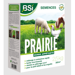 BSI - Semences Gazon Prairie | 2,5 kg  300 Mcarré